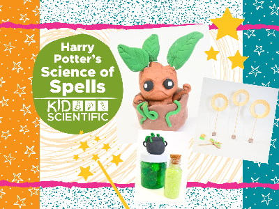 Harry Potter Science of Spells Summer Camp (5-12 Years)